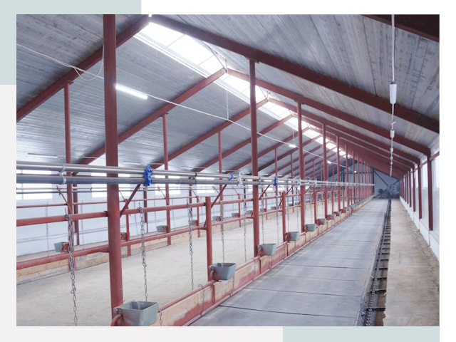 Строительство коровников в Кемерово от 624 руб.