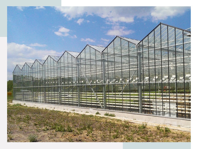 Строительство теплиц в Кемерово от 624 руб. за м²