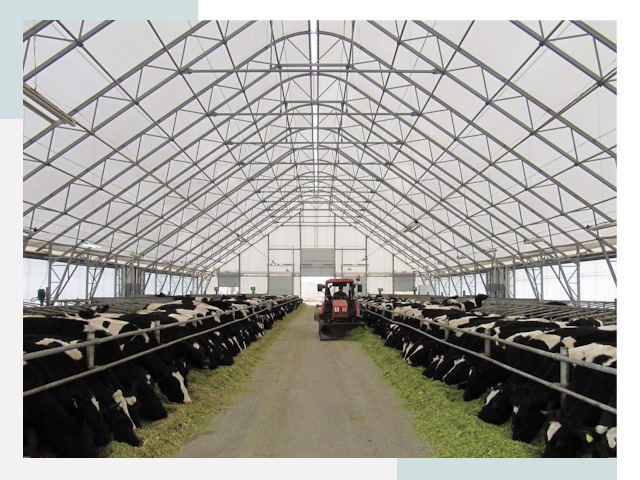 Тентовые коровники в Кемерово от 624 руб. - Надежно и доступно